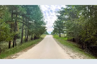 375 Rock Creek Drive, Trinity, TX 75862 - Photo 12