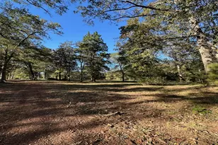 10695 Magnolia Dr, Conroe, TX 77303 - Photo 6