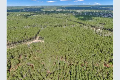 16207 Golden Wood Court, Willis, TX 77378 - Photo 8