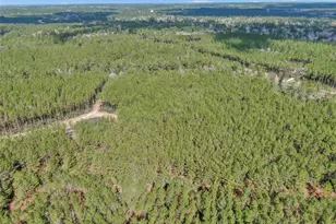 16207 Golden Wood Ct, Willis, TX 77378 - Photo 8