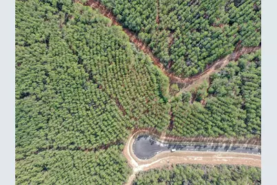 16207 Golden Wood Court, Willis, TX 77378 - Photo 2