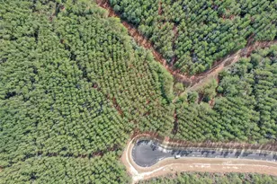 16207 Golden Wood Ct, Willis, TX 77378 - Photo 2