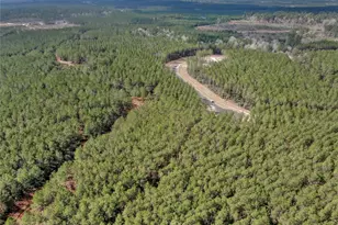 16207 Golden Wood Ct, Willis, TX 77378 - Photo 10