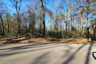 Lot 3 Sherwood Dr, Shepherd, TX 77371 - Photo 1