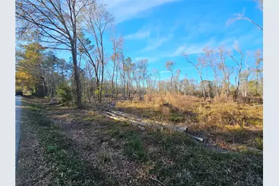 Lot 3 Sherwood Drive, Shepherd, TX 77371 - Photo 16