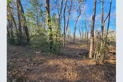 Lot 3 Sherwood Drive, Shepherd, TX 77371 - Photo 12