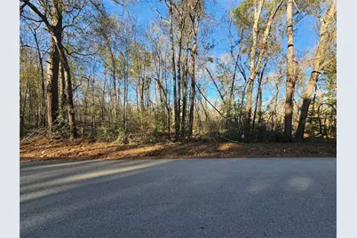 Lot 3 Sherwood Drive, Shepherd, TX 77371 - Photo 4