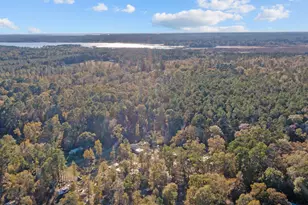 171 Cr 421, Bronson, TX 75930 - Photo 46