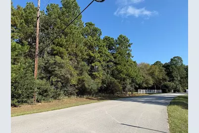 0 Lago Drive, Magnolia, TX 77354 - Photo 6