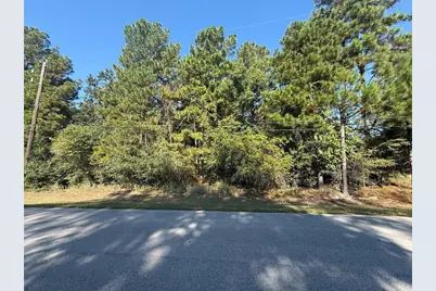 0 Lago Drive, Magnolia, TX 77354 - Photo 10