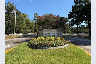 0 Lago Drive, Magnolia, TX 77354 - Photo 12