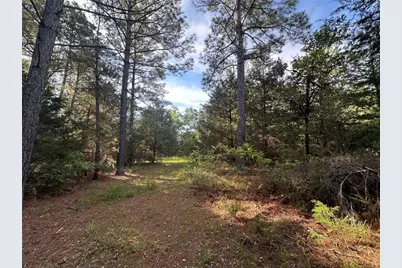 9Ac Cr 770, Buffalo, TX 75831 - Photo 8