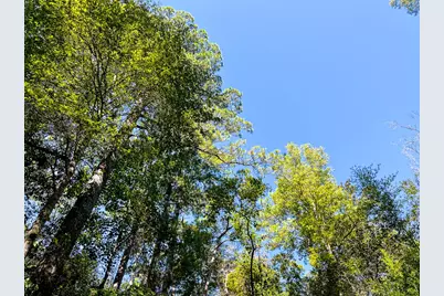 13 Fm 350, Livingston, TX 77351 - Photo 12