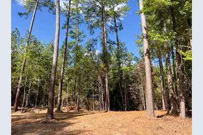 13 Fm 350, Livingston, TX 77351 - Photo 10