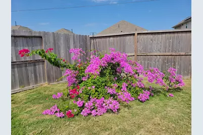 30002 Aralia Drive, Fulshear, TX 77423 - Photo 38