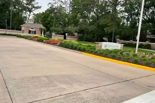 25707 White Springs Ct, Spring, TX 77373 - Photo 18