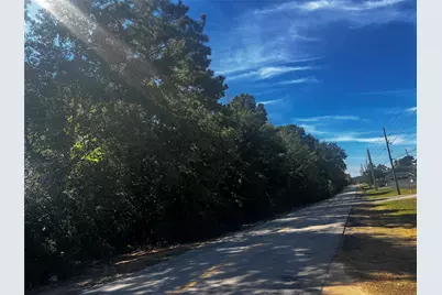 Tbd Buddy Riley Blvd, Magnolia, TX 77354 - Photo 2