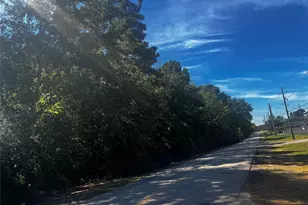 Tbd Buddy Riley Blvd, Magnolia, TX 77354 - Photo 2