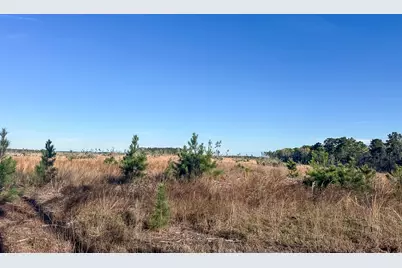 03 Highway 146, Livingston, TX 77351 - Photo 16