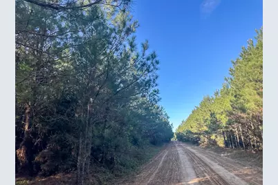03 Highway 146, Livingston, TX 77351 - Photo 10