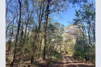 03 Highway 146, Livingston, TX 77351 - Photo 8