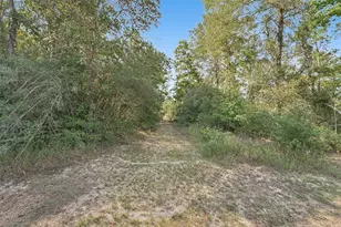 21113 Hereford Way, Cleveland, TX 77328 - Photo 40