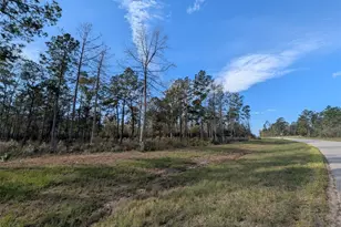 10698 Ruger Rd, Willis, TX 77378 - Photo 1