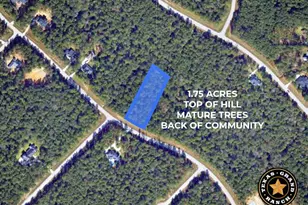 9-2-24 Windmill Rd, New Waverly, TX 77358 - Photo 1