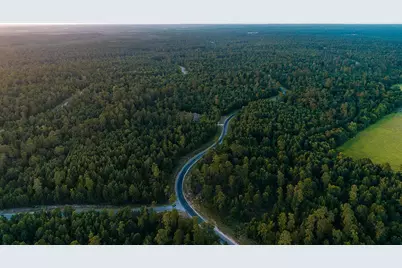 9-2-24 Windmill Road, New Waverly, TX 77358 - Photo 10