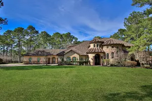 28333 Meadow Falls, Magnolia, TX 77355 - Photo 1