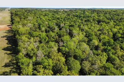 7663 State Highway 7 W, Jewett, TX 75846 - Photo 24