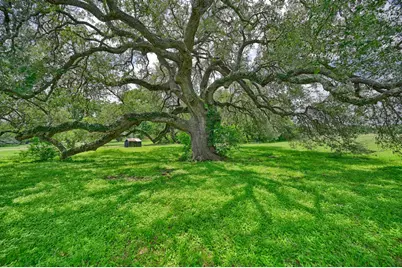 810 Highway 237, Burton, TX 77835 - Photo 4