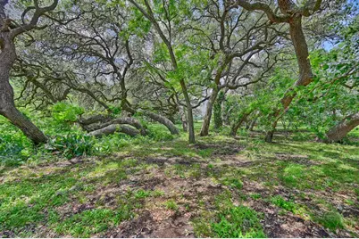 810 Highway 237, Burton, TX 77835 - Photo 18
