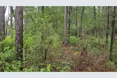 Lot 33 Gum Tree Lane, Plantersville, TX 77363 - Photo 24