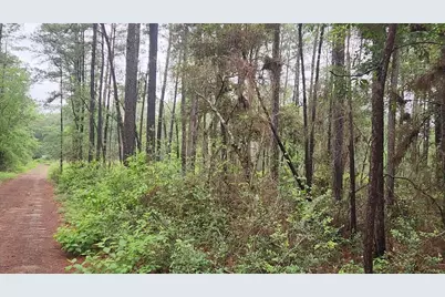 Lot 33 Gum Tree Lane, Plantersville, TX 77363 - Photo 2