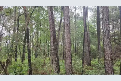 Lot 33 Gum Tree Lane, Plantersville, TX 77363 - Photo 18
