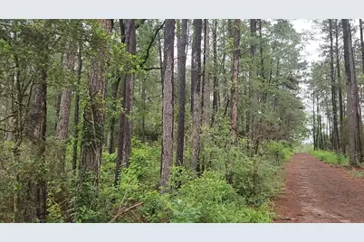 Lot 33 Gum Tree Lane, Plantersville, TX 77363 - Photo 26