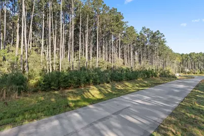Tbd Lonestar Road, Huntsville, TX 77340 - Photo 1