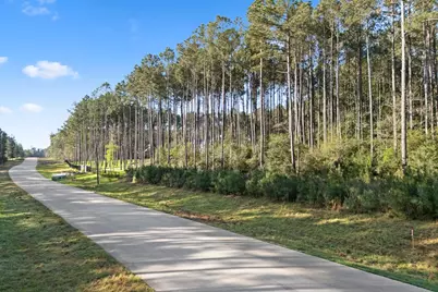 Tbd Lonestar Road, Huntsville, TX 77340 - Photo 4