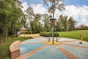 170 Black Swan Pl, Magnolia, TX 77354 - Photo 30