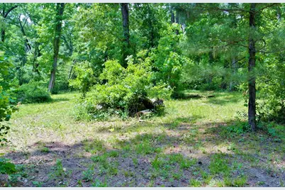 Lot 695 Lake Shore Drive, Coldspring, TX 77331 - Photo 12