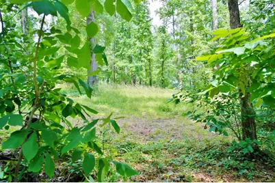 Lot 695 Lake Shore Drive, Coldspring, TX 77331 - Photo 4