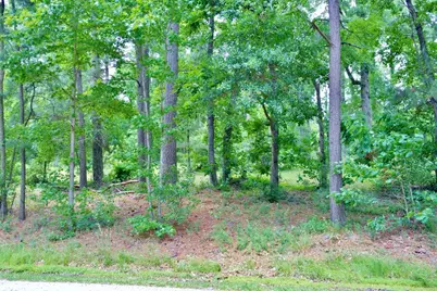Lot 695 Lake Shore Drive, Coldspring, TX 77331 - Photo 8