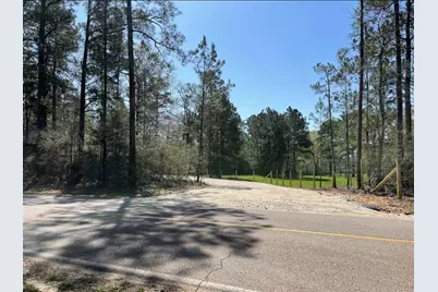 17040 E William Road, Conroe, TX 77303 - Photo 2