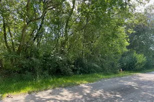 0 Beasley Ave, Hitchcock, TX 77563 - Photo 1