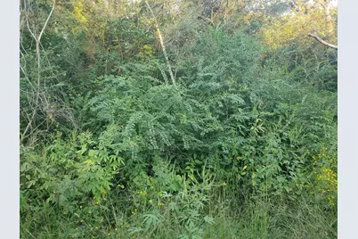 0 N Council Drive, Hempstead, TX 77445 - Photo 4