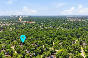 106 Autumn Branch Dr, The Woodlands, TX 77382 - Photo 36