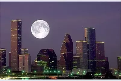 4609 University Oaks Boulevard, Houston, TX 77004 - Photo 48