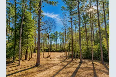 17819 Indigo Hills Drive, Magnolia, TX 77355 - Photo 1