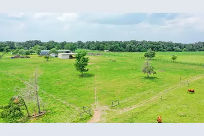 30.0124 Acres Dutton Lane, Madisonville, TX 77864 - Photo 46